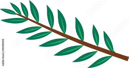 coniferous leaf
