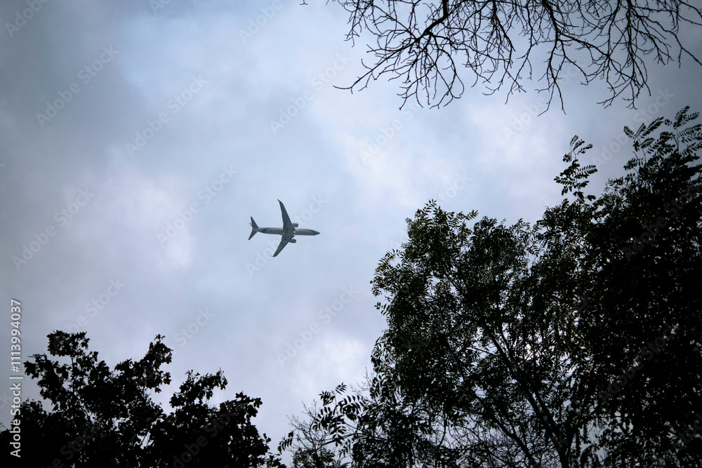 An airplane flies high in the sky framed by silhouetted tree branches on a cloudy day, Poznan, Poland An airplane flies high in the sky framed by silhouetted tree branches on a cloudy day, Poznan, Poland
