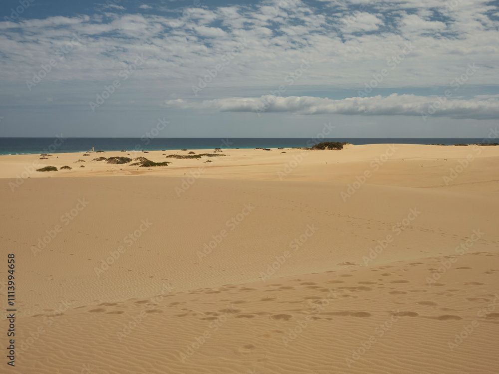 Golden sand dunes under a clear blue sky with a hint of distant sea on the horizon, Fuerteventura, Spain Golden sand dunes under a clear blue sky with a hint of distant sea on the horizon, Fuerteventura, Spain