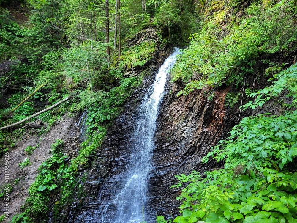Waterfall In The Carpathians Waterfall In The Carpathians