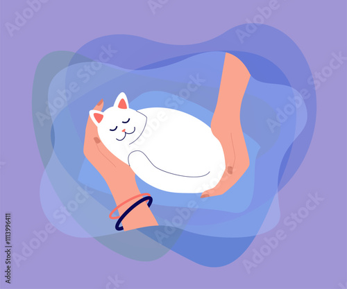 Hands of female pet owner holding cat. Hug and care for little furry friend from girl flat vector illustration. Love for animals, adoption concept for banner, website design or landing web page