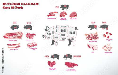 Set illustration of Butcher Diagram of Pork Cuts