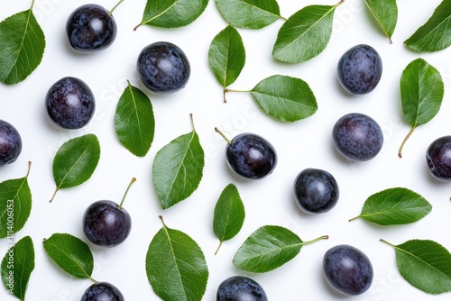 Isolated plum leaf Overhead view of green leaves on white