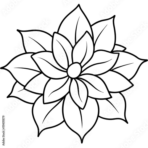 flower isolated on white