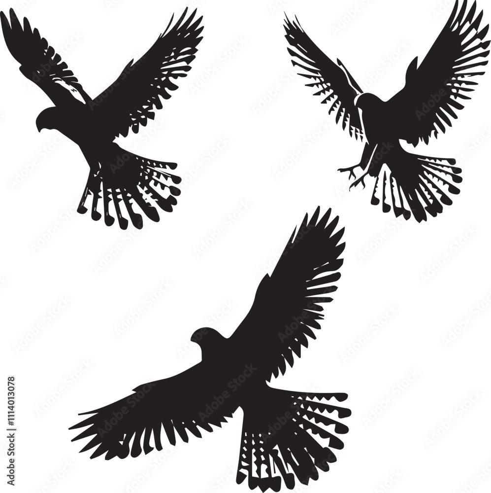 Falcon Silhouette Vector Set – Bird of Prey and Wildlife Design Elements Falcon Silhouette Vector Set – Bird of Prey and Wildlife Design Elements
