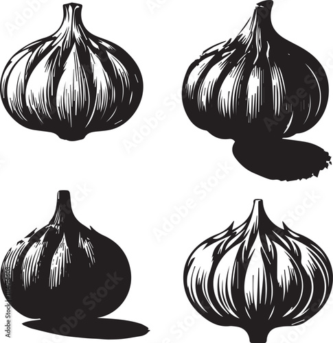 Garlic Silhouette Vector Set – Culinary and Botanical Herb Design Elements