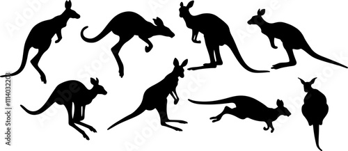 Kangaroo Silhouette Vector Illustration
