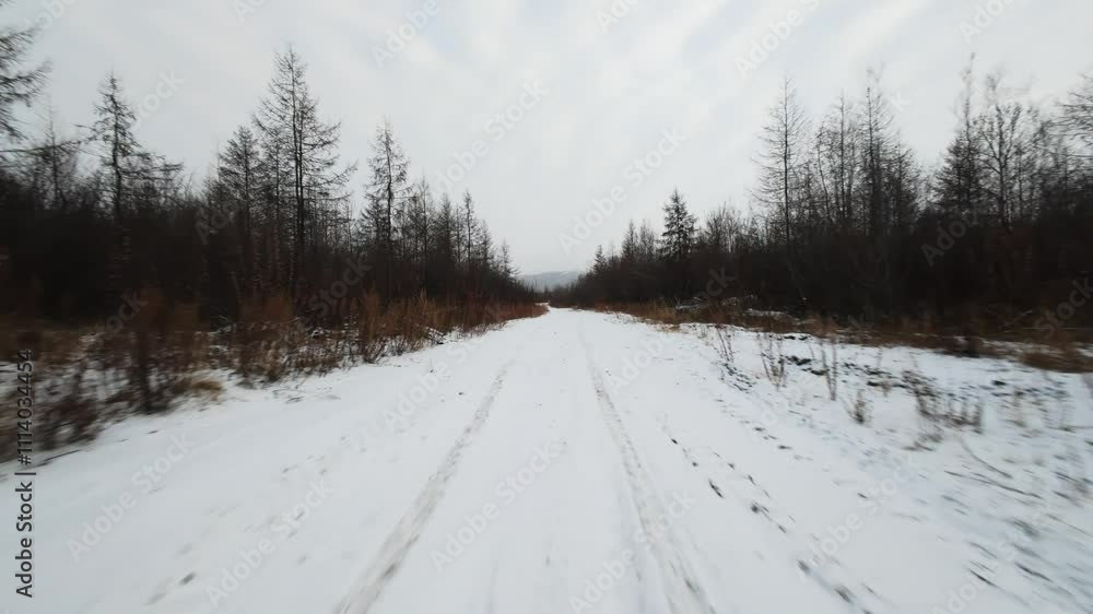 A captivating drive along a snow-covered forest road, showcasing the tranquility of the winter landscape and the charm of untouched nature. A captivating drive along a snow-covered forest road, showcasing the tranquility of the winter landscape and the charm of untouched nature.