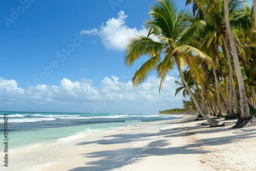 Tropical beach with white sand, turquoise water, and palm trees under a clear blue sky