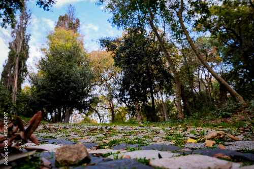 Pathway Through Nature: A Stroll on Autumn’s Cobblestones