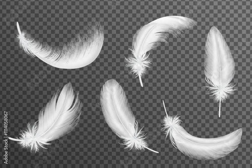 Collection of White Feathers on Transparent Background