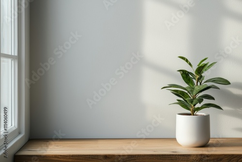 Potted plant illuminating empty wooden table in sunlit room