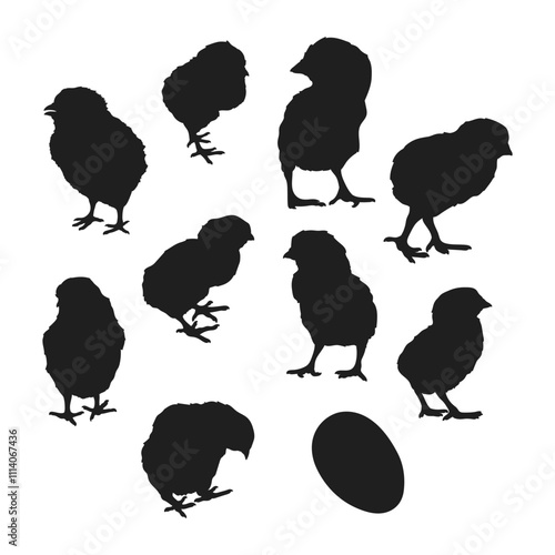 Farm animal newly born hen silhouette vector 