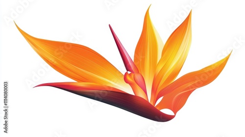 Bird of Paradise Tropical Flower Isolated, Strelitzia Bloom, Orange Exotic Bird Head Flower on White