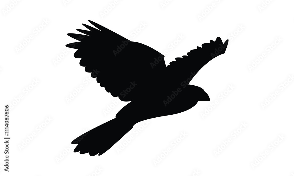 Obraz premium Flying Hawk Bird Silhouette Design And Vector Illustration. 