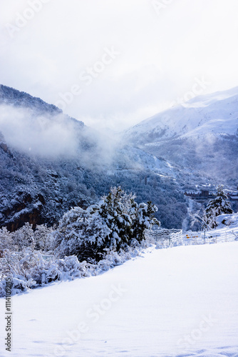 Snowy landscape in the Tena Valley after a heavy snowfall. Pyrenees. Aragon. Huesca. Spain