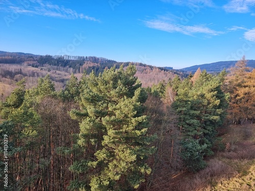 Obraz na płótnie Sudetes, covered with forest, Polish mountains w salonie
