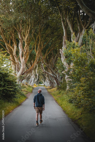 Dark Hedges arbres magnifiques