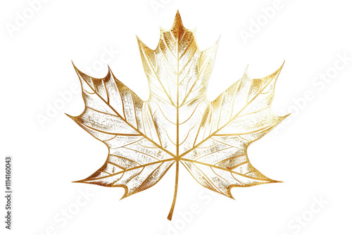 maple leaf in golden line art isolated