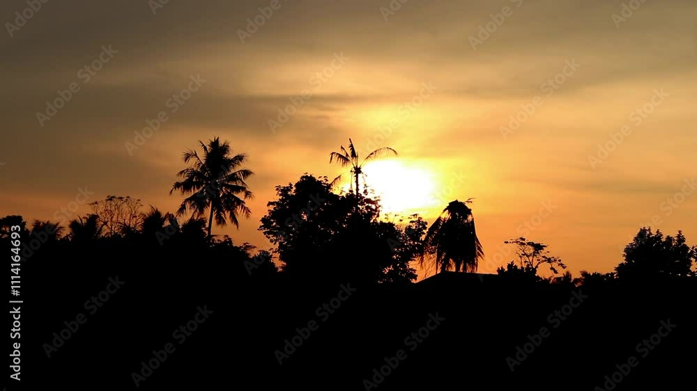 the beauty of the sunset