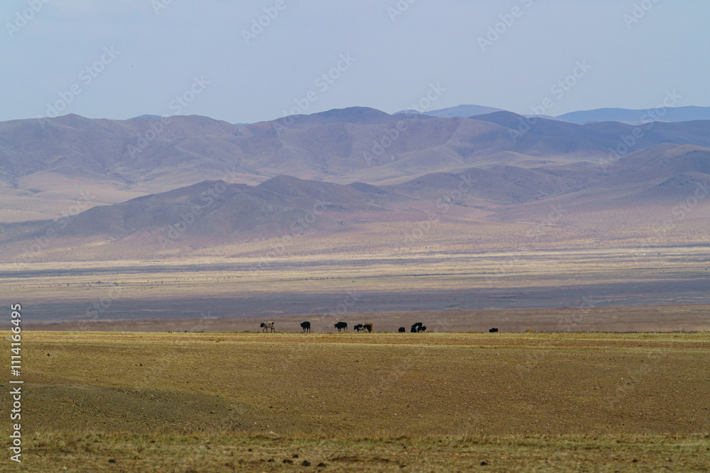 Obraz premium ホスタイ国立公園 広大な大地を歩む動物たち