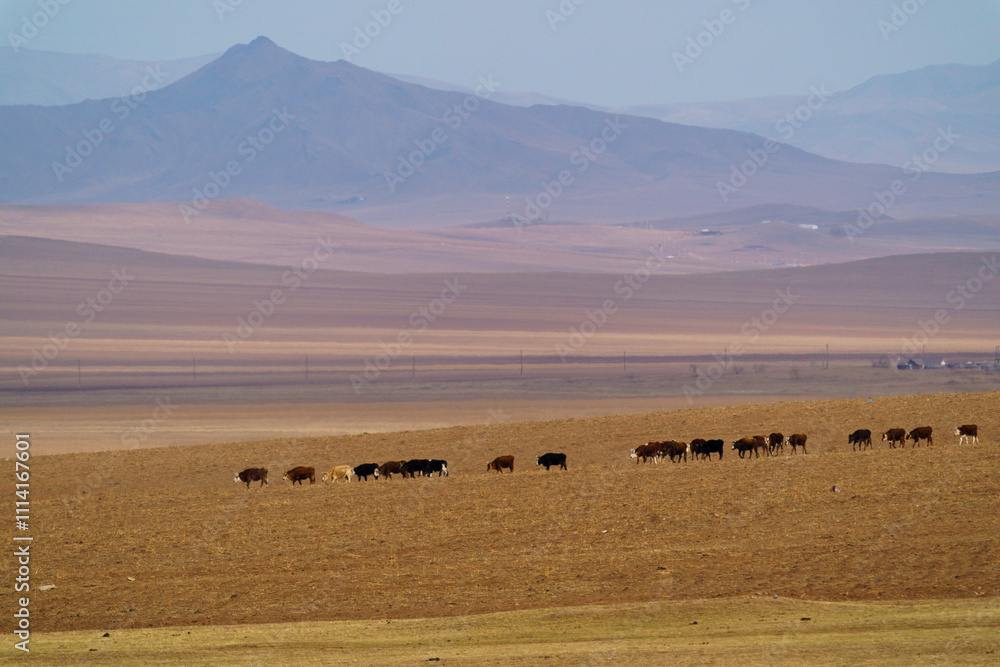 Obraz premium ホスタイ国立公園 広大な大地を歩む動物たち