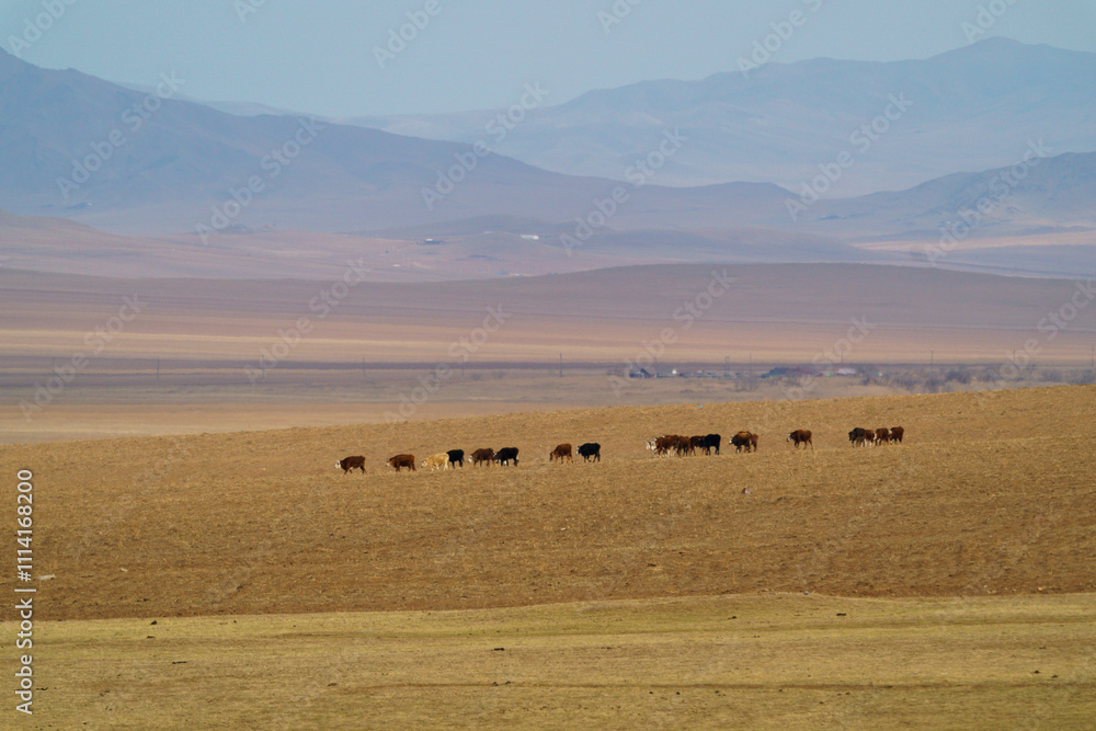 Obraz premium ホスタイ国立公園 広大な大地を歩む動物たち
