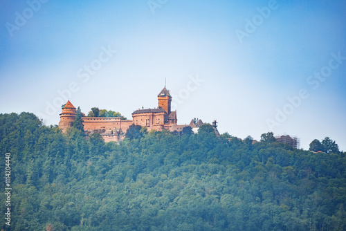 Majestic castle rises above lush forest under a clear blue sky