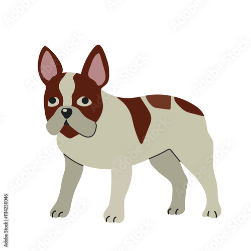 Boston terrier icon clipart avatar logotype isolated illustration