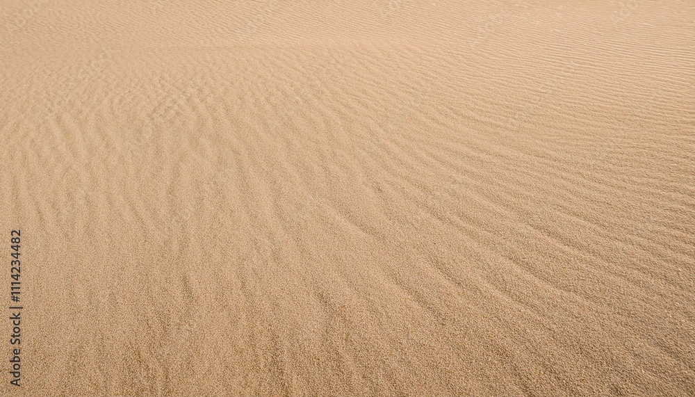 panorama of light brown fine grained sand on the beach texture and background seamless panorama of light brown fine grained sand on the beach texture and background seamless