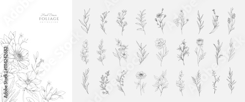 Set of hand drawn flowers and plants. Minimalist forms with elegant botanical elements for invitation, save the date card. Botanical rustic trendy greenery vector illustration