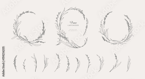 Set of lavender calligraphic design elements, floral frame and graceful branches. Wedding wildflowers for invitation save the date card. Botanical feminine rustic vector illustration.