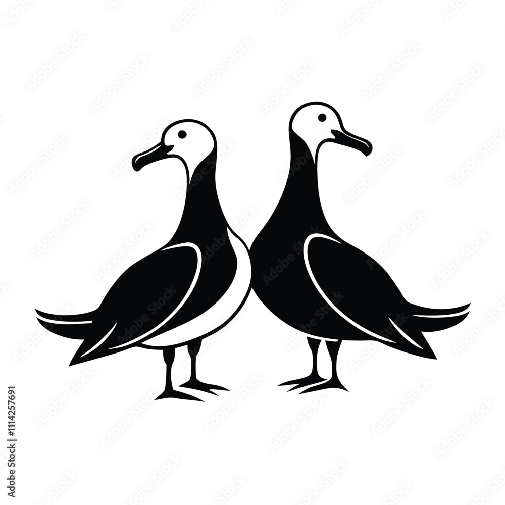 Obraz premium a black and white illustration of two albatross birds standing side by side