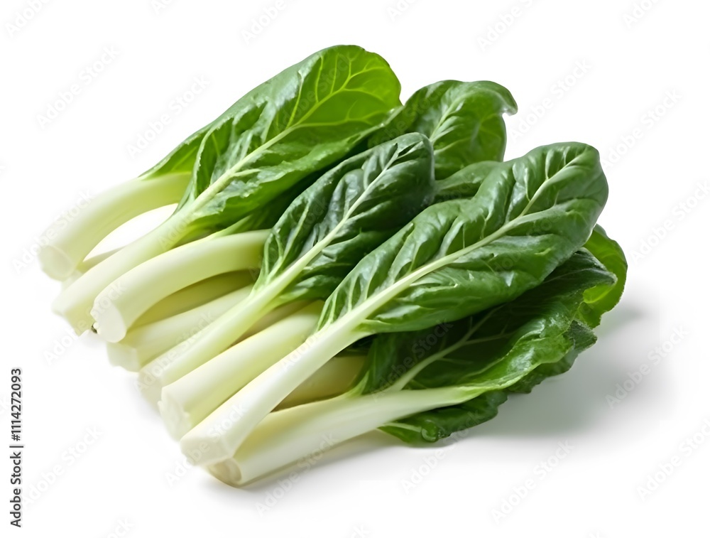 Fresh Bunch of Swiss Chard, Vibrant Green Leaves and Creamy White Stalks Fresh Bunch of Swiss Chard, Vibrant Green Leaves and Creamy White Stalks