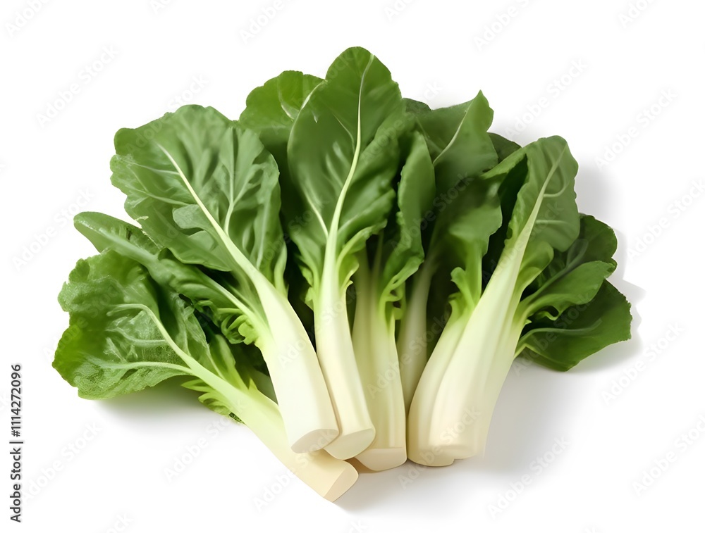 Fresh Bunch of Swiss Chard: Vibrant Green Leafy Vegetable Fresh Bunch of Swiss Chard: Vibrant Green Leafy Vegetable