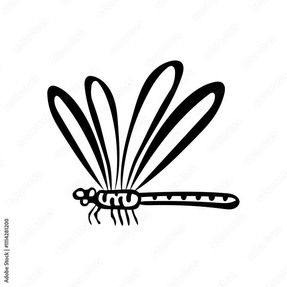 dragonfly dragonfly