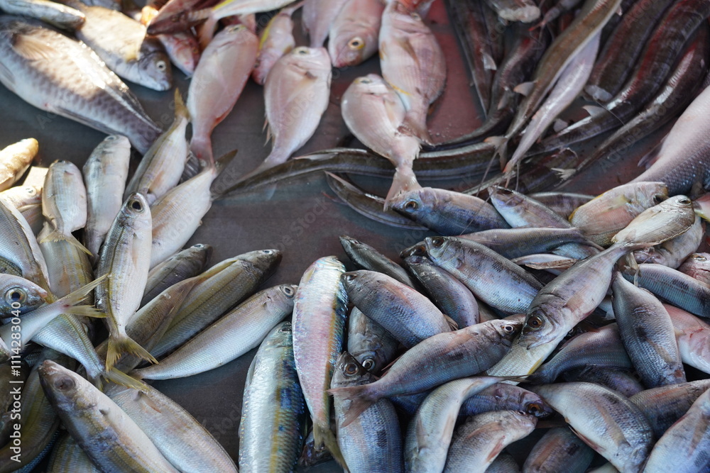 Obraz premium farmer's market of Rhodes , fresh sea products on the stalls , fishes