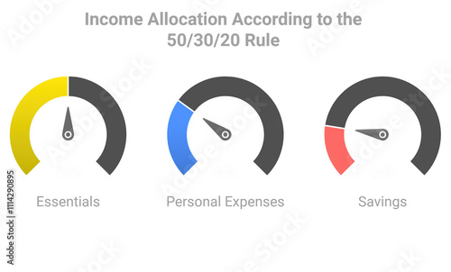 Illustration of the 50/30/20 Budgeting Rule for Balanced Personal Finance