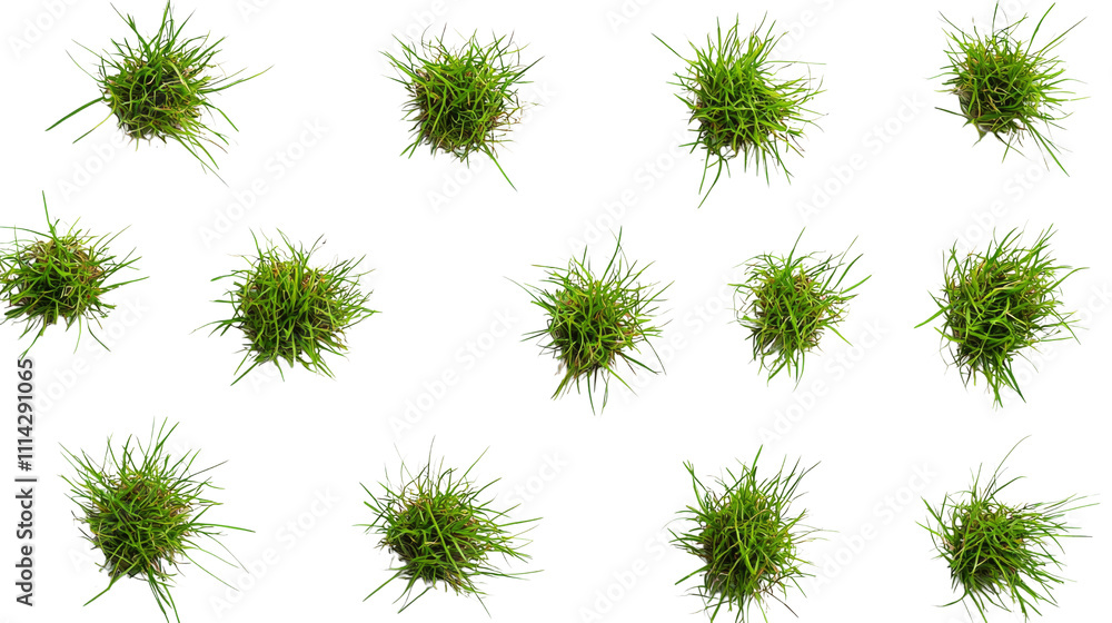 A collection of vibrant green grass clumps arranged in a grid pattern, showcasing their lush texture and lively appearance. A collection of vibrant green grass clumps arranged in a grid pattern, showcasing their lush texture and lively appearance.
