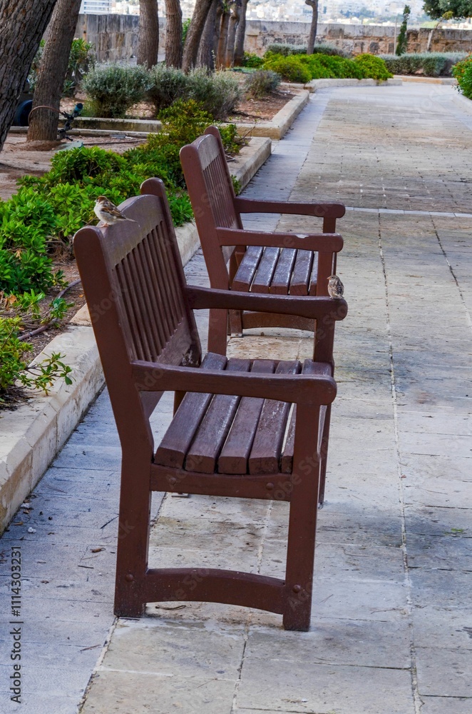 Serene Wooden Benches in a Quiet Garden Pathway Serene Wooden Benches in a Quiet Garden Pathway
