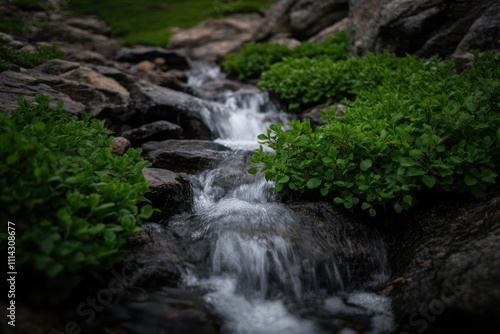 Mountain Stream Flows Over Rocks Amidst Lush Green Vegetation