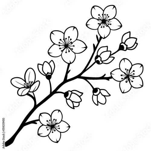 Cherry Blossom Branch in Full Bloom Vector Art