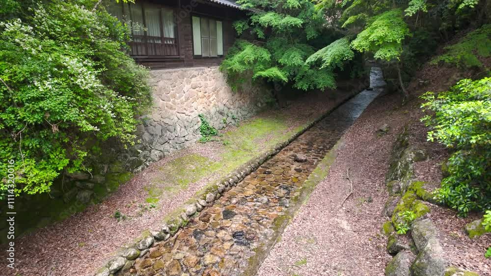 A tranquil scene of a forest stream in Japan, flowing past an elegant wooden house surrounded by lush greenery. Available in RAW, Apple ProRes 422 HQ A tranquil scene of a forest stream in Japan, flowing past an elegant wooden house surrounded by lush greenery. Available in RAW, Apple ProRes 422 HQ