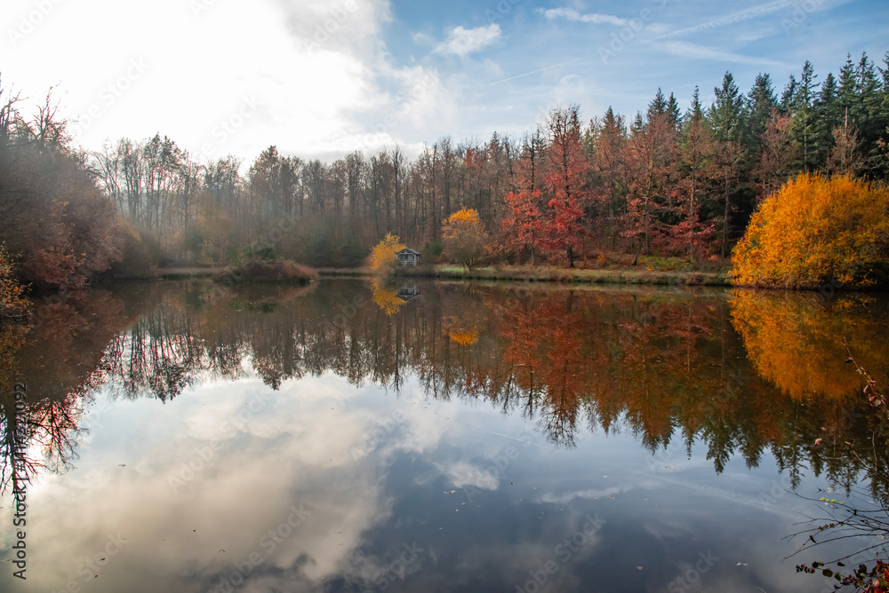 Nature et paysages en foret pendant l'automne Nature et paysages en foret pendant l'automne