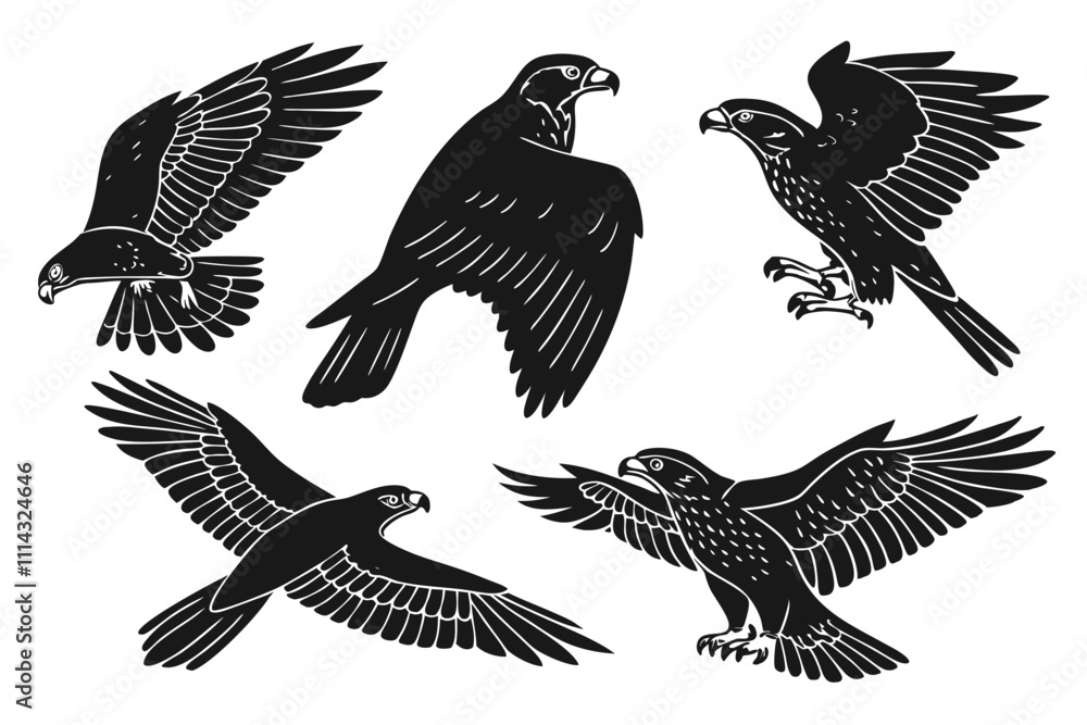 Obraz premium set of eagle