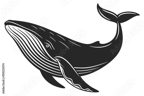 silhouette of a whale