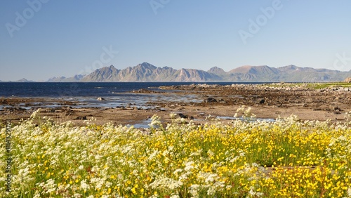 Lofoten-6 photo