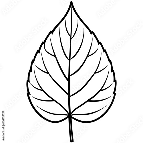 Detailed Green Leaf line art Vector Art