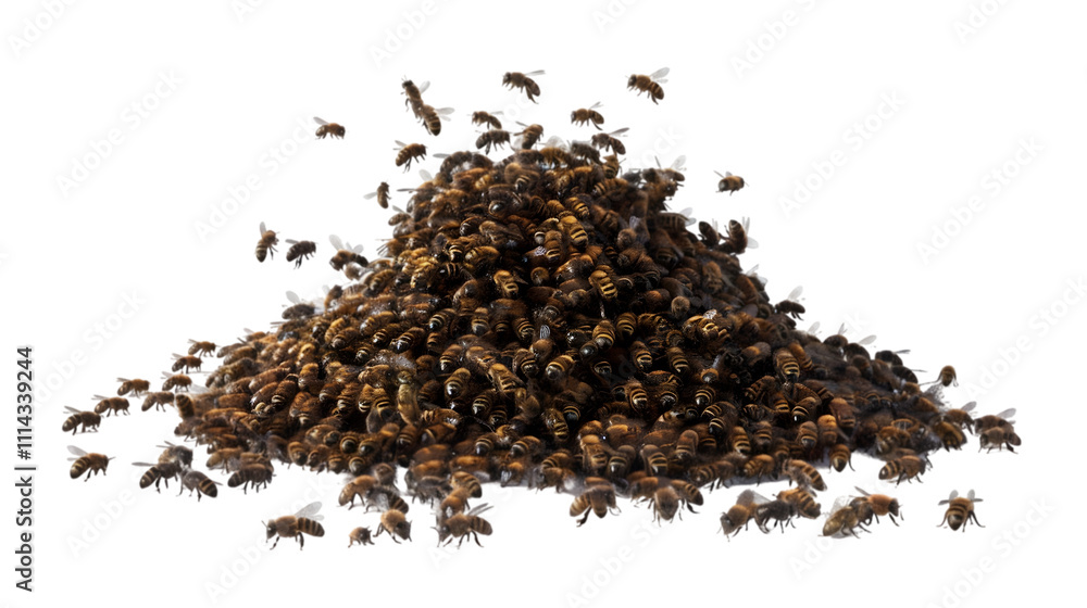 swarm of bees png swarm of bees png