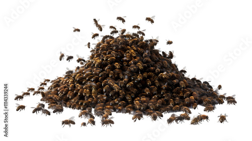 Wallpaper Mural swarm of bees png Torontodigital.ca